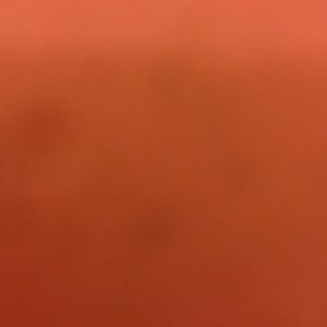 Meet your Posher, Redette